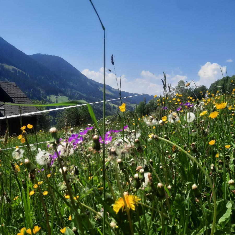 Sunnaschi Appartements - Wohnungen Oder Gesamt Als "Huette" Laterns Luaran gambar