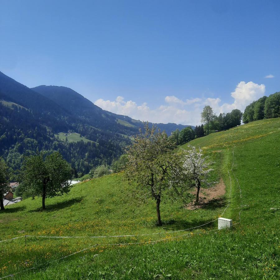 Sunnaschi Appartements - Wohnungen Oder Gesamt Als "Huette" Laterns Luaran gambar