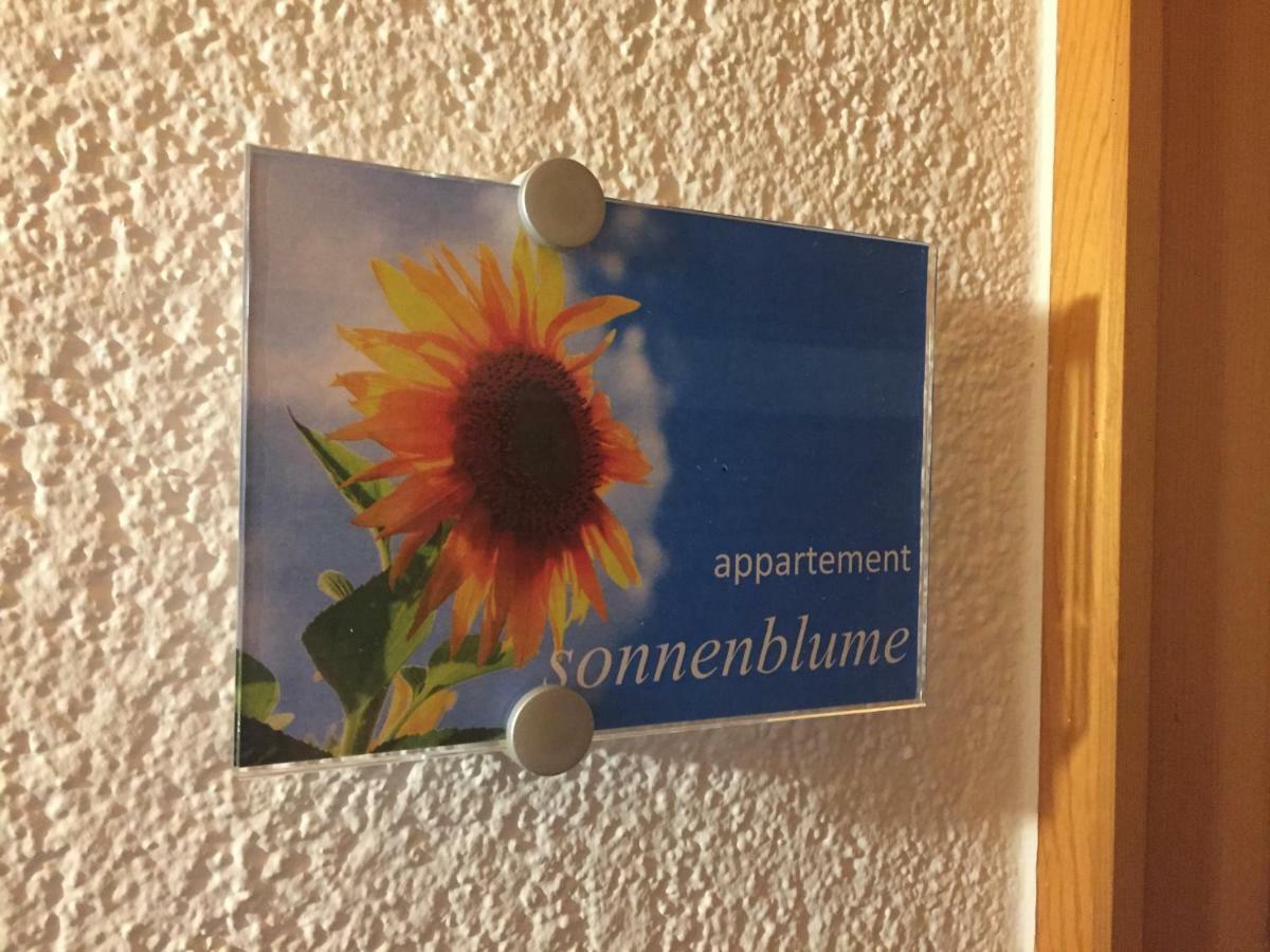 Sunnaschi Appartements - Wohnungen Oder Gesamt Als "Huette" Laterns Luaran gambar